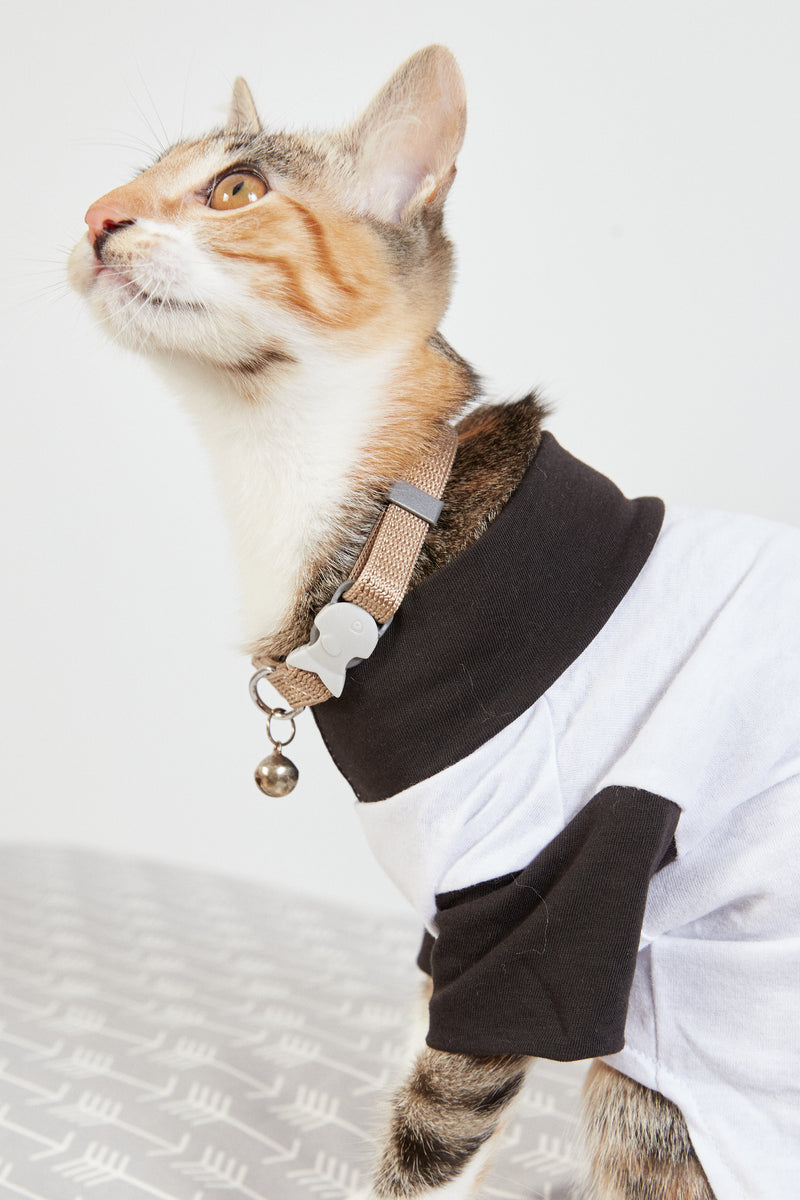 Collar Regulable Con Cascabel Gato