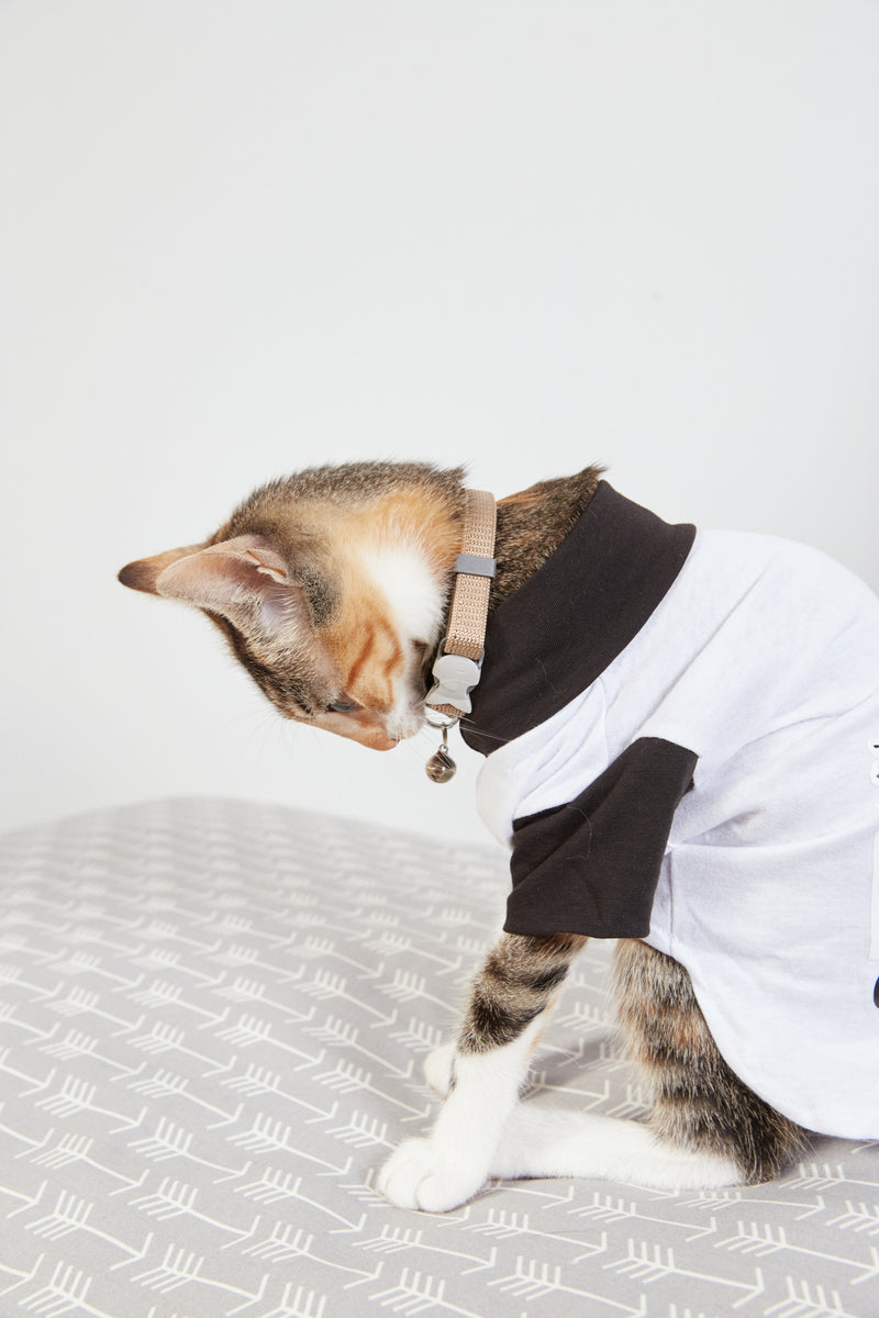 Collar Regulable Con Cascabel Gato