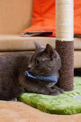 Rascador Con Alfombra Gato Pet
