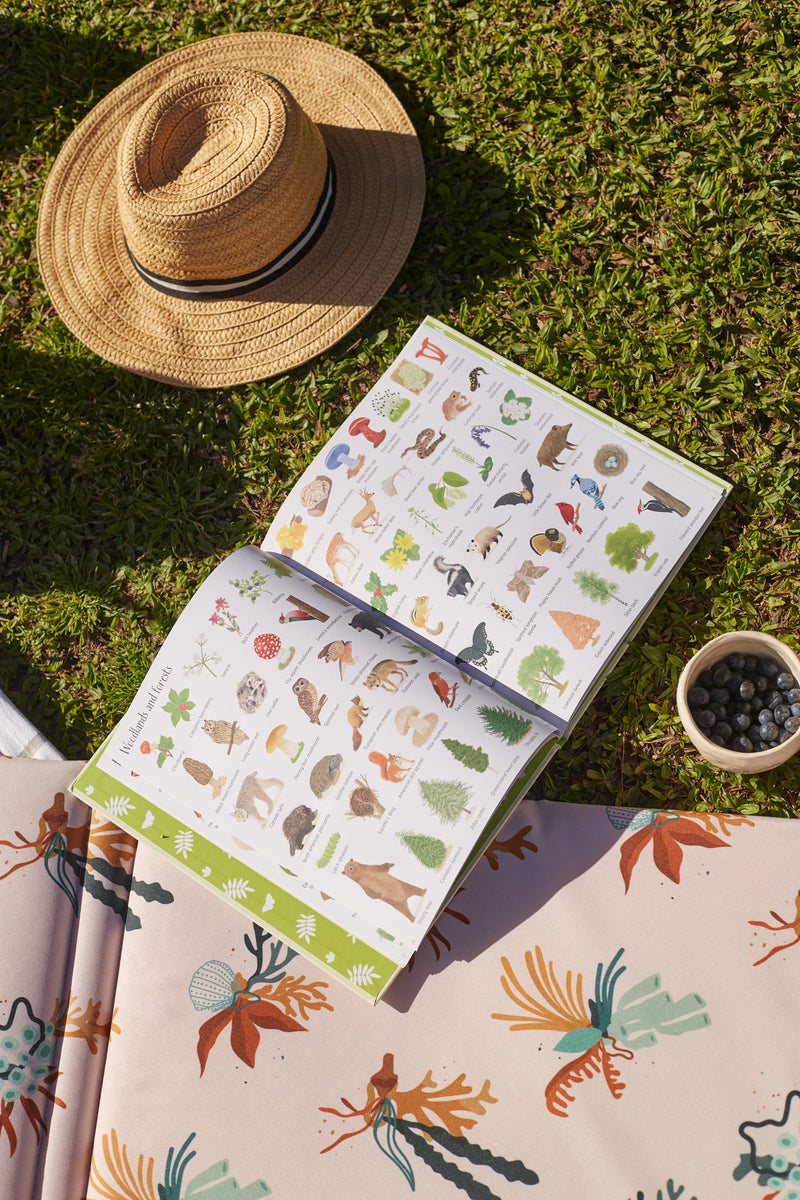 Libro "1000 Things in Nature"